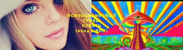 прущие крисы Армянск