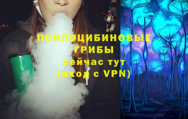 ешки Слюдянка