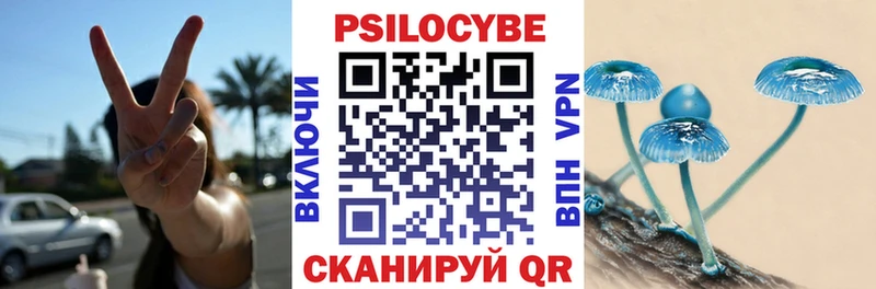 Псилоцибиновые грибы Psilocybine cubensis  Артёмовский 