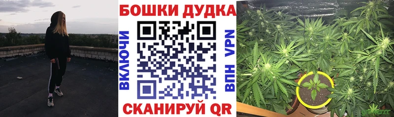 mega как зайти  продажа наркотиков  Артёмовский  Шишки марихуана ГИДРОПОН 